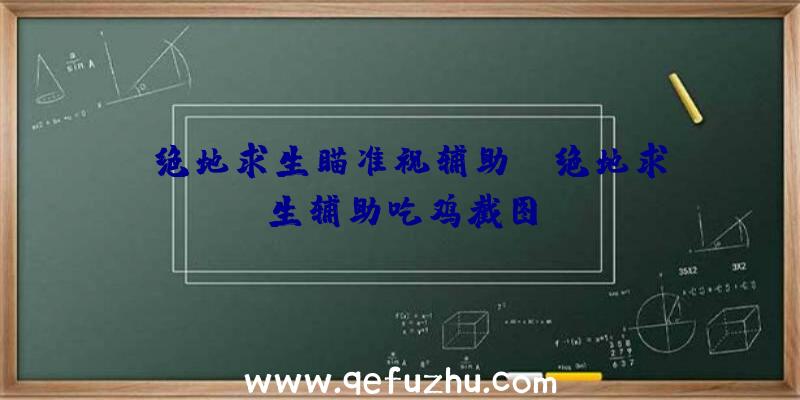 「绝地求生瞄准视辅助」|绝地求生辅助吃鸡截图